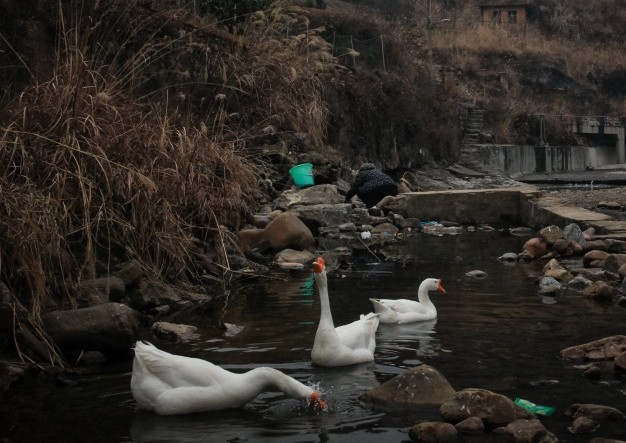 ּٰ氲װϣ
